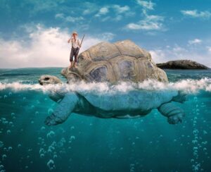 turtle, man, underwater